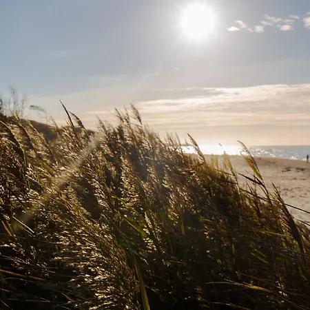 Steuerbord Διαμέρισμα *